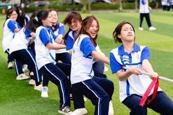 Bộ Chính trị: Giảm tối thiểu 20% đầu mối các trường đại học công lập trước 1/4/2027