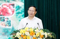 Bắc Ninh: Thúc đẩy chuyển đổi sản xuất, tiêu thụ vải thiều từ phát triển theo sản lượng sang chất lượng và giá trị