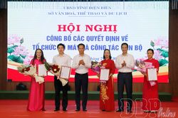 Sở Văn h&oacute;a, Thể thao v&agrave; Du lịch kiện to&agrave;n tổ chức bộ m&aacute;y