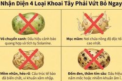Tại sao ăn khoai tây mọc mầm lại nguy hiểm?