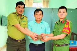 Người dân xã Al Bá tự nguyện giao nộp cá thể rùa núi vàng