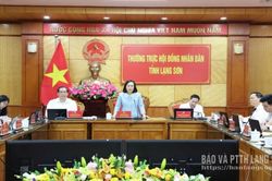 Đưa hơi thở cuộc sống vào phiên giải trình