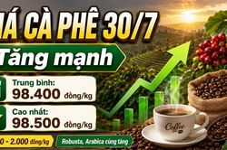 Giá cà phê hôm nay 30/7: Tăng sát mốc 100.000 đồng/kg