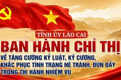 Tỉnh ủy L&agrave;o Cai ban h&agrave;nh Chỉ thị về tăng cường kỷ luật, kỷ cương, khắc phục t&igrave;nh trạng n&eacute; tr&aacute;nh, đ&ugrave;n đẩy trong thi h&agrave;nh nhiệm vụ