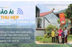 Bảo &Aacute;i thu hẹp khoảng c&aacute;ch th&ocirc;ng tin