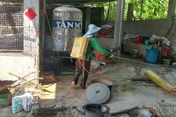 Phường Nghĩa Lộ chủ động phòng, chống dịch tả lợn châu Phi