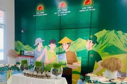 Cánh đồng mẫu lớn - hướng đi hiện đại ở Tánh Linh
