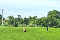 Hàm Thắng hướng đến nông nghiệp hàng hóa