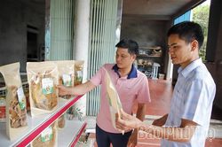 Mùa măng ở Đỉnh Thung