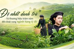 'Đệ nhất danh trà' - Từ thương hiệu trăm năm đến khát vọng ngành hàng tỷ đô (Bài 2)