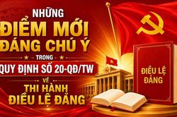 Những điểm mới đáng chú ý trong Quy định số 20-QĐ/TW về thi hành Điều lệ Đảng