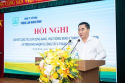 Ph&acirc;n l&acirc;n Ninh B&igrave;nh lợi nhuận tăng 37,4% trong 6 th&aacute;ng đầu năm 2026
