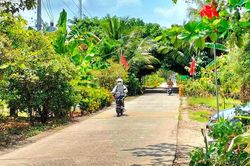 Cà Mau: Đổi thay vùng đồng bào dân tộc thiểu số từ nguồn lực hạ tầng