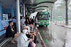 Sau một th&aacute;ng miễn ph&iacute; v&eacute;, lượng kh&aacute;ch xe bu&yacute;t TP.HCM tăng gần 40%