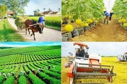 Sửa đổi, bổ sung, b&atilde;i bỏ nhiều thủ tục h&agrave;nh ch&iacute;nh về th&agrave;nh lập v&agrave; hoạt động của tổ hợp t&aacute;c, hợp t&aacute;c x&atilde;, li&ecirc;n hiệp hợp t&aacute;c x&atilde;