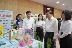 Quảng Trị đặt mục tiêu trở thành trung tâm kinh tế nông nghiệp xanh vùng Bắc Trung Bộ