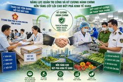 Gỡ 'điểm nghẽn' quản trị, xây 'lá chắn' an toàn: Nền tảng cho An Giang bứt phá kinh tế xanh