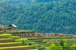 Lào Cai: Cho phép chuyển mục đích sử dụng và thuê đất thực hiện Dự án Khu du lịch nghỉ dưỡng Cát Cát - Sa Pa