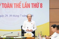 Thẩm tra dự án Luật sửa đổi, bổ sung một số điều của Luật Hải quan