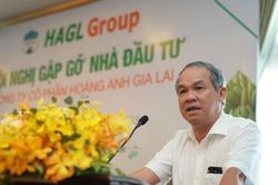 Báo lãi nghìn tỷ quý thứ 2 liên tiếp, Hoàng Anh Gia Lai vẫn để lộ một điểm đáng lo trong báo cáo tài chính