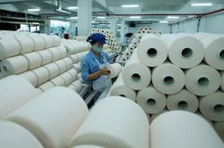 Ho&agrave;n th&agrave;nh dự &aacute;n ngh&igrave;n tỷ, Sợi Thế Kỷ vẫn ch&igrave;m trong thua lỗ