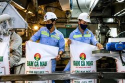 L&atilde;i tăng gần 55%, điều g&igrave; khiến d&ograve;ng tiền của Đạm C&agrave; Mau bất ngờ chuyển sang &acirc;m?