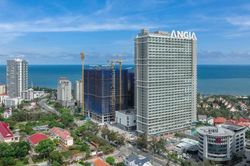 Doanh thu b&aacute;n h&agrave;ng giảm mạnh, nhờ đ&acirc;u An Gia vẫn l&atilde;i qu&yacute; kỷ lục