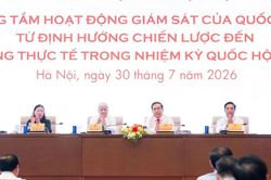 Hoạt động giám sát thúc đẩy hoàn thiện thể chế và phát triển đất nước