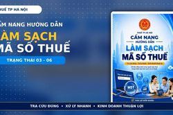Thuế thành phố Hà Nội: Người nộp thuế tự rà soát mã số thuế