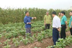 Quy định mới về xử phạt vi phạm hành chính trong lĩnh vực đất đai
