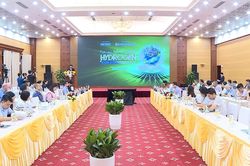 Việt Nam c&oacute; khả năng sản xuất 500.000 tấn hydrogen v&agrave;o 2030
