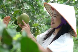 Nông nghiệp đa giá trị - Động lực bứt phá bền vững