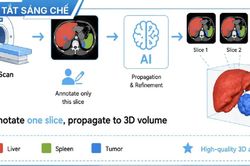 Một đại học của Việt Nam được cấp bằng sáng chế châu Âu trong lĩnh vực trí tuệ nhân tạo ứng dụng y học