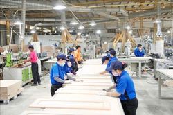 Bức tranh doanh nghiệp: Sức bật tăng, nền tảng cần củng cố