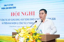 Phân lân Ninh Bình: Lợi nhuận tăng 37,4% sau 6 tháng