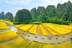 Ninh Bình tăng tốc chuyển đổi số, hướng tới nhóm dẫn đầu cả nước