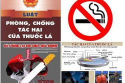 Sửa đổi Luật Ph&ograve;ng, chống t&aacute;c hại của thuốc l&aacute;: Đề xuất b&atilde;i bỏ nhiều thủ tục h&agrave;nh ch&iacute;nh