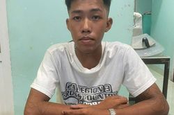 Nguyễn Trường Hải bị bắt