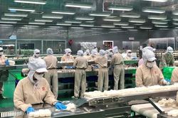 TP.HCM có gần 297.000 doanh nghiệp, quy mô vốn đạt 17.420 nghìn tỷ đồng
