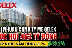 Lợi nhuận công ty mẹ GELEX bốc hơi 463 tỷ đồng, hợp nhất vẫn tăng 13,1%