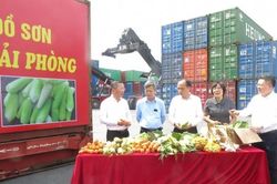 'Điểm tựa' vững chắc giúp hội viên vượt qua nỗi lo 'được mùa rớt giá'