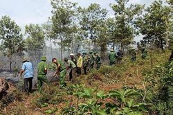 Tp. Huế tăng cường phòng, chống cháy rừng, bảo vệ tài nguyên và môi trường sinh thái