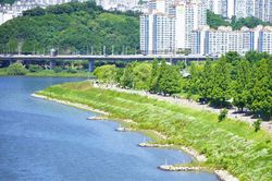 Hồi sinh những dòng sông: Kinh nghiệm thế giới và gợi mở cho Hà Nội