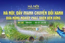 [TRỰC TIẾP] Hà Nội chuyển động: Hà Nội đẩy mạnh chuyển đổi xanh - Đưa nông nghiệp phát triển bền vững