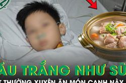Bé trai 5 tuổi máu trắng đục như sữa vì thường xuyên ăn món canh này