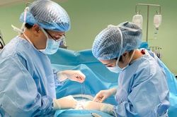 Xây dựng đô thị khỏe mạnh: Chuyển đổi tư duy để chăm sóc sức khỏe người dân từ gốc