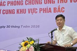 Bộ Y tế triển khai kế hoạch quốc gia phòng, chống ung thư vú và ung thư cổ tử cung