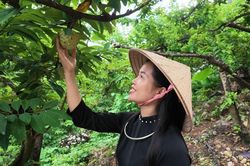 Thái Nguyên đưa nông sản thành điểm hẹn du lịch