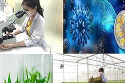Phát triển công nghiệp sinh học ngành nông nghiệp và môi trường