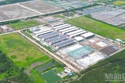 Chiến lược xanh cho các cụm công nghiệp